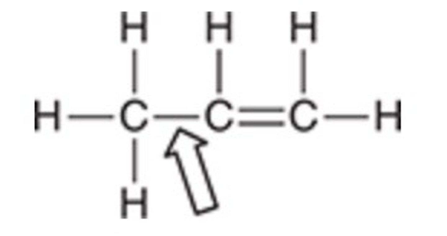 <p>The indicated σ bond results from the overlap of which orbitals?</p><p>sp2-sp2</p><p>sp-sp3</p><p>sp-sp2</p><p>sp2-sp3</p>