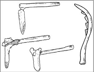 <p>Знаряддя для обробки землі доби неоліту ((новий кам'яний вік)6 тис. до н.е. - 4 тис. до н.е.)</p><p class="has-focus"></p>