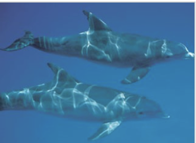 <p>What is this?</p>