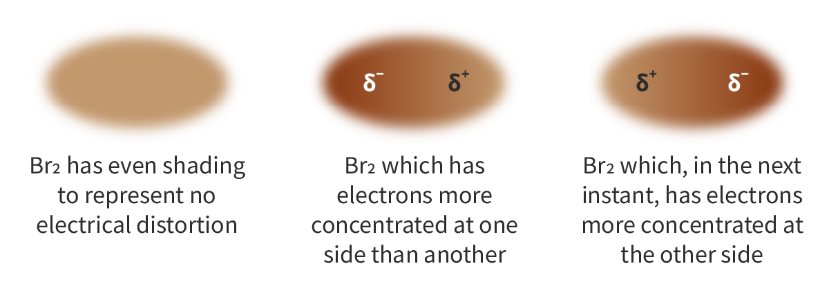<p>London-dispersion forces: The _____, continuous movement of electrons can create __________ electron distribution which causes attraction between neighbouring atoms or molecules</p><ol type="i"><li><p><span>Electrons are continuously moving, thus, though on average, there is no ___ _____ between symmetrical molecules, there is 1 moment where electrons randomly end up on one side, making a partial negative, followed by another moment where electrons end up on the other.</span></p></li><li><p><span>Thus, these _____ dipoles cause attraction between neighbouring molecules that both experience the asymmetry in electron distribution</span></p></li><li><p><span>LDFs exist in _____ molecules, regardless of the level of electronegativity difference, though weak.</span></p></li></ol><p></p>