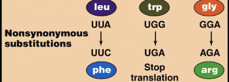 <p>Non-synonymous mutations</p>