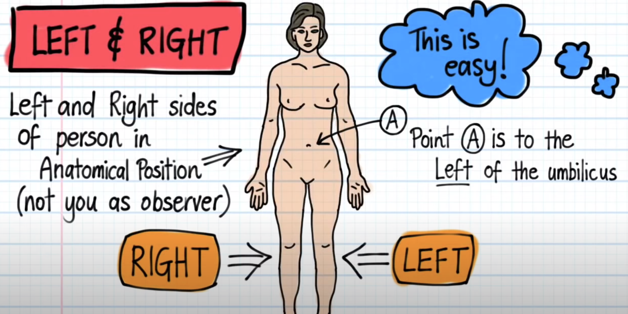 <p>Right side of the diagram, NOT your Right side. Simple trick: It’s always opposite side of your own Right side.</p><p>Check the image for more details.</p>