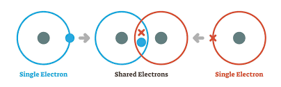 <p>Forms when two atoms share one or more pairs of electrons to achieve stable elec config (non metal atoms)</p><ul><li><p>Both atoms contribute one or more electrons to form a shared electron pair in the region of space between two nuclei</p></li><li><p>Electrons are attracted to both nuclei, holding the two atoms together in a stable molecule</p></li><li><p>sharing lowers the energy state of both atoms compared to their isolated states.</p></li></ul><p></p>