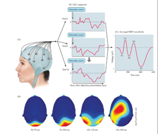 <p>A technique that measures electrical activity in the brain through electrodes placed on the scalp, to roughly locate activity at low sp. resolution but high temp. </p>