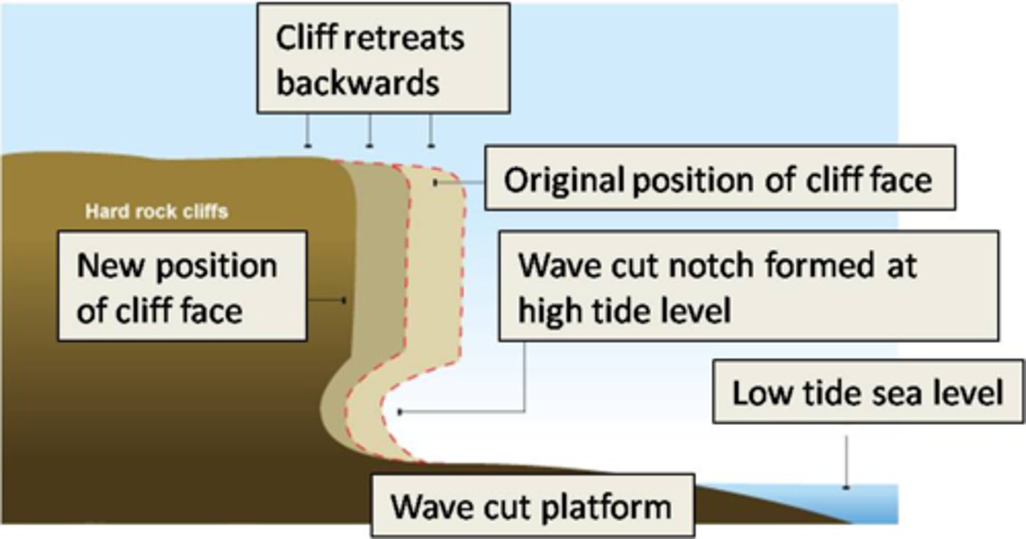 <p>1) the sea crashes the base of the cliff between the high and low water mark- a wave cut notch forms<br>2)abrasion, corrosion and hydraulic action extends the notch back to the cliff<br>4) the cliff becomes unstable, then collapses<br>5)the backwash of the waves carries away eroded material- a wave cut platform is left behind</p>