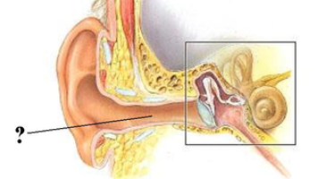 <p><span><span>Identify the indicated space.</span></span></p>