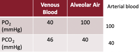 <ul><li><p>With ventilation we don’t get 100% turnover of the air from the atmosphere in the lungs</p></li><li><p>100mmHg oxygen is leftover in lungs after all factors</p></li><li><p>Diffusion drives oxygen into the cell because there&apos;s less oxygen in the cell than in the blood</p></li><li><p>Once oxygen enters the cell partial pressure of oxygen decreases and carbon dioxide increases</p></li><li><p>Partial pressure of oxygen throughout the body is changing and this drives flows</p></li></ul>