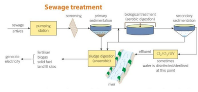 <p>treating waste water</p>