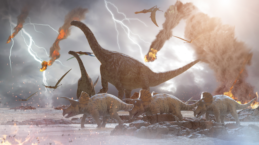 <p>Cretaceous Mass Extinction</p>