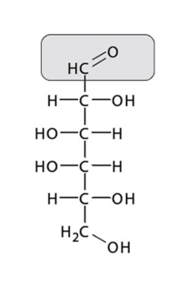 <p>Is this an example of an aldose or a ketose?</p>