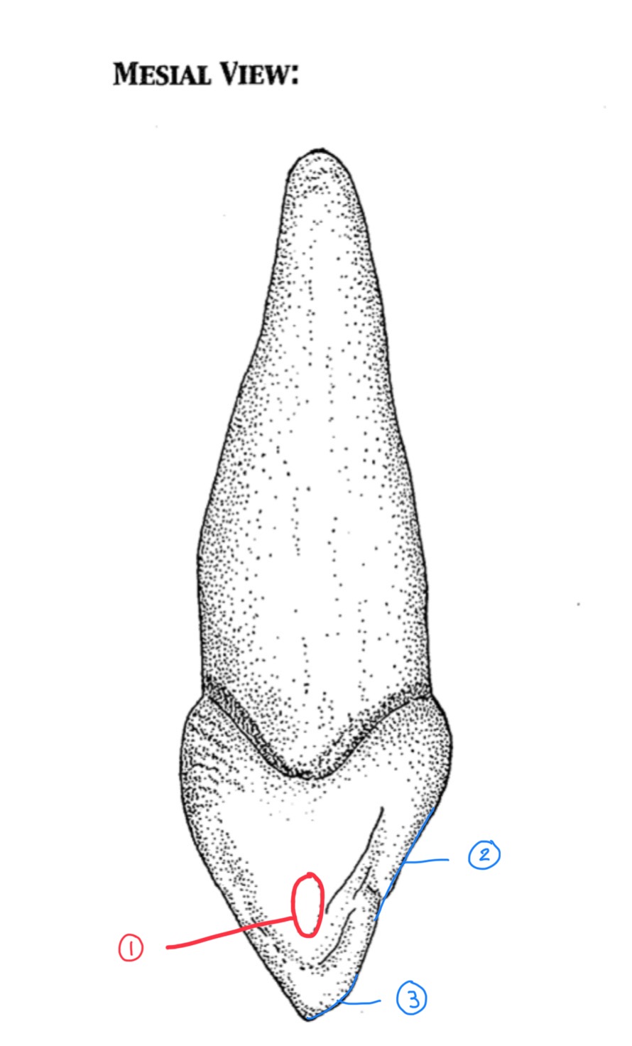 <p>Name #3</p>