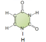 <p>which base ??? ಠಿ_ಠ (plus type)</p>