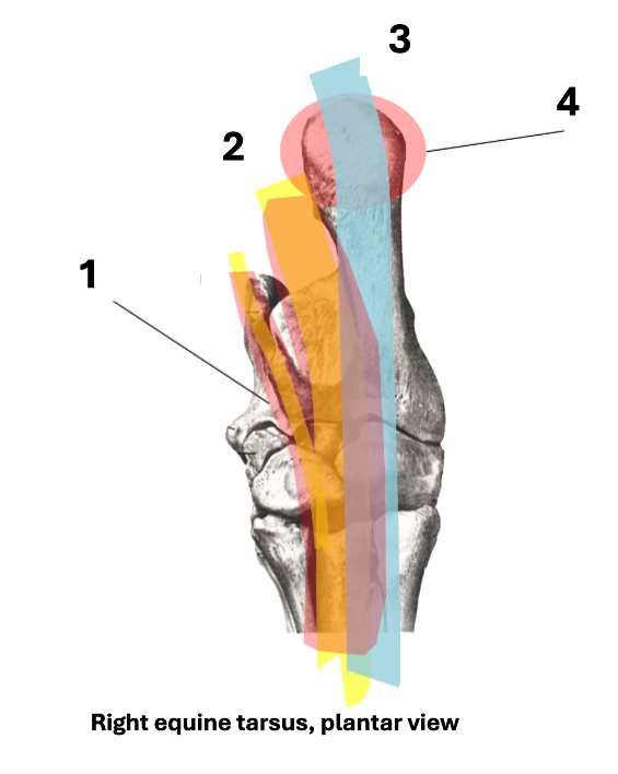 <p>2</p>