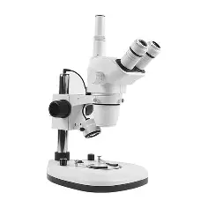 <p>Stereo microscope aka dissecting scope </p>