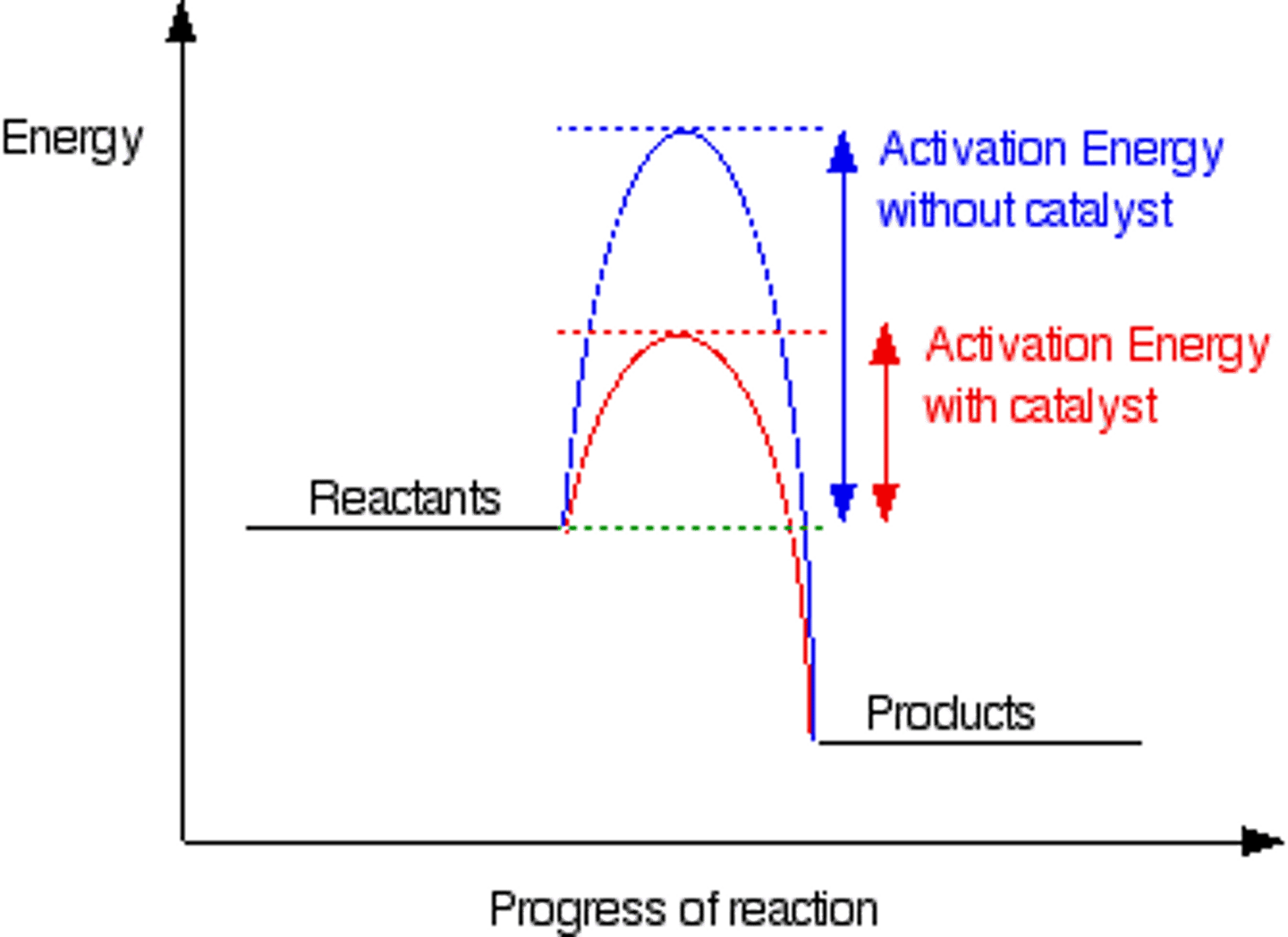 <p>(Ea) the minimum energy required for colliding reactant molecules to successfully react</p>