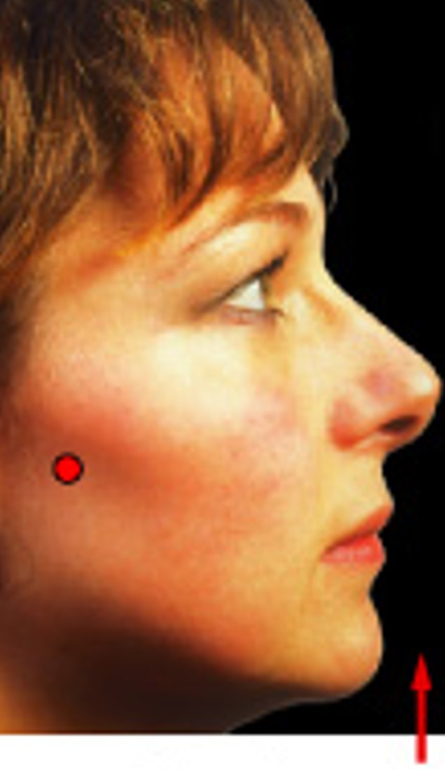 <p>Which special movement is:</p><ul><li><p>Moves in superior direction (up)</p></li></ul><p></p>