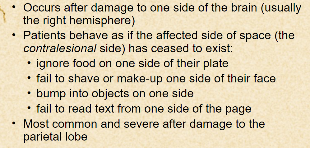 <p>the unilateral spatial neglect effect. </p>