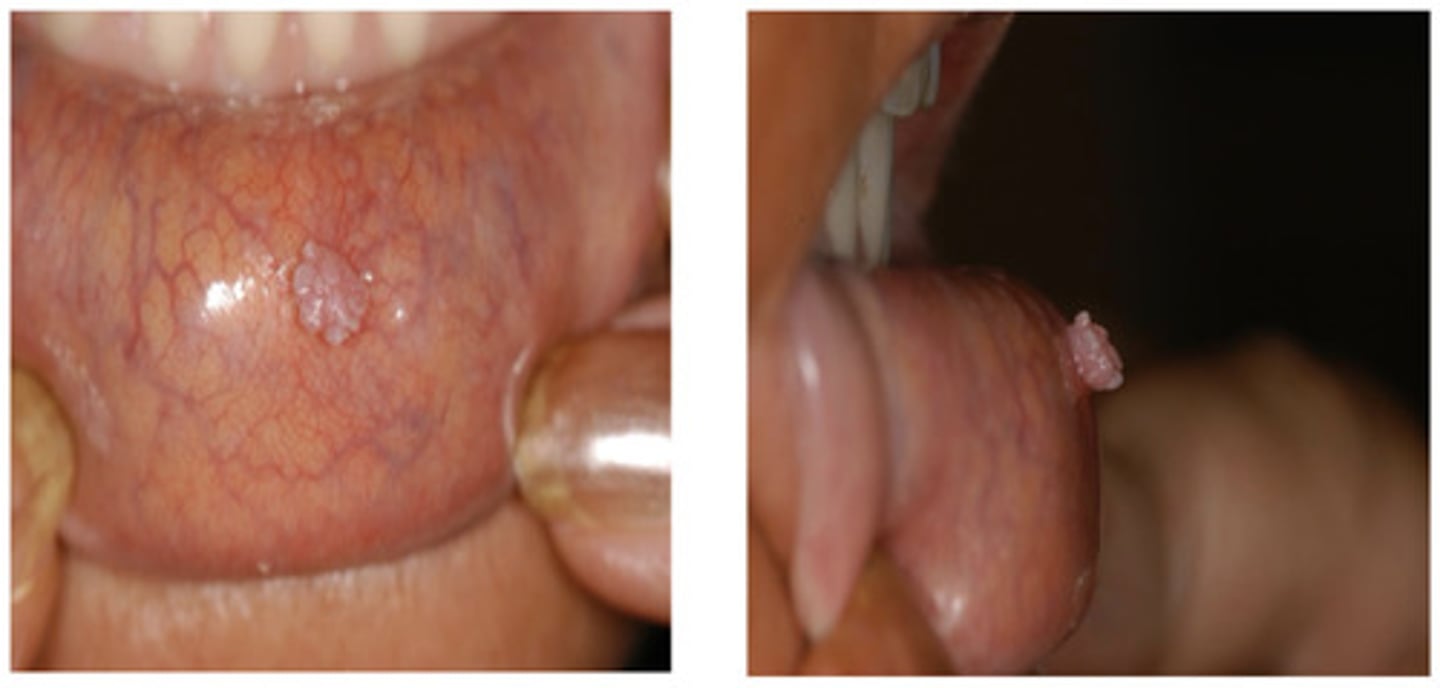 <p>What is this?</p>