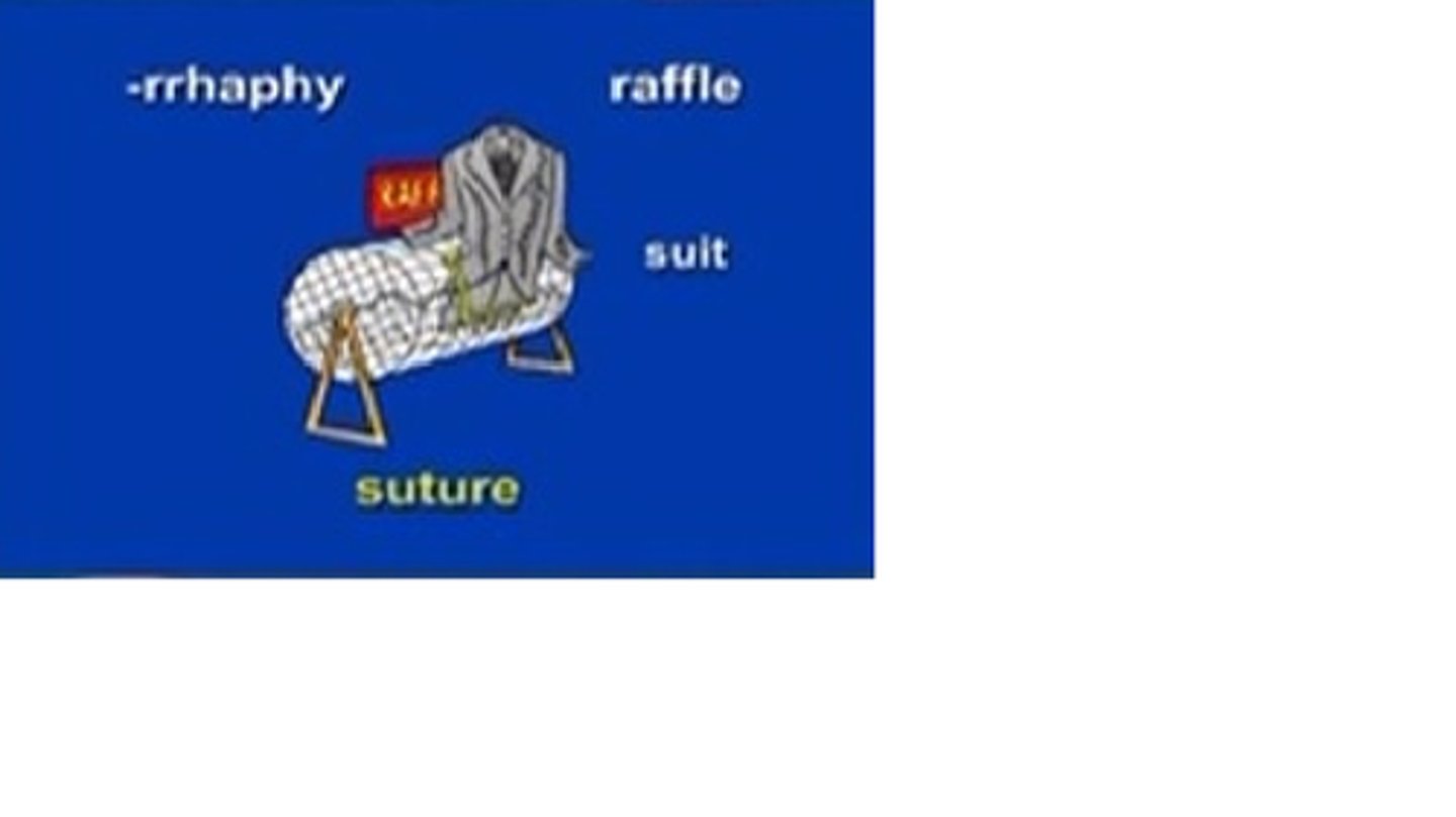 <p>suture, repair</p>