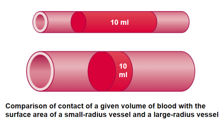 <p>Find the resistance of each. Which one has less resistance?</p><p>top BV r = 2mm</p><p>bottom r = 4mm</p>