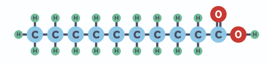 every C has a H attached to it