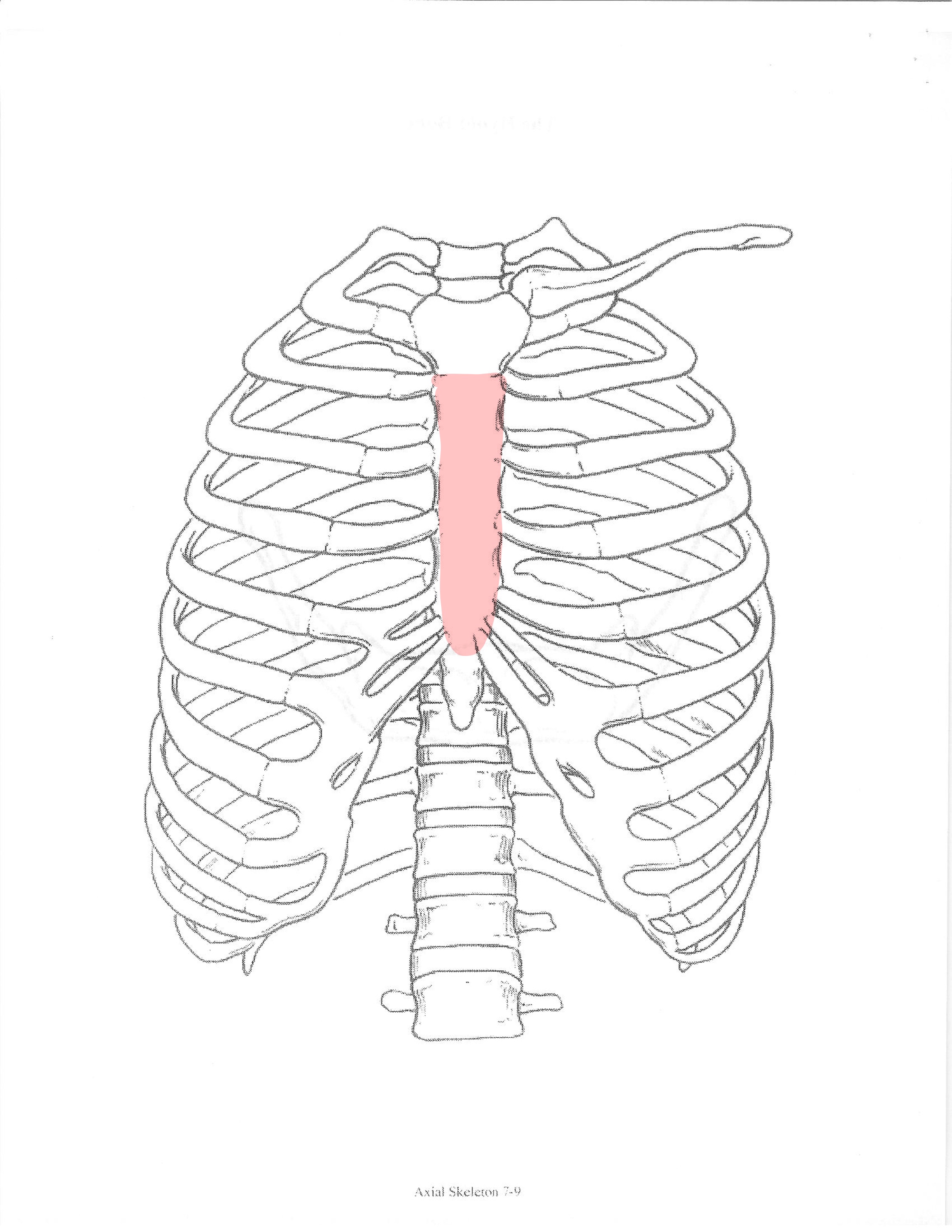 <p>ID feature</p>