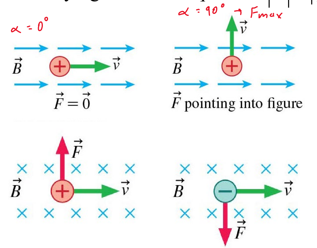 <p>Magnetic force on a moving charged particle </p>