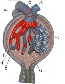 <p>what is D referring to </p>