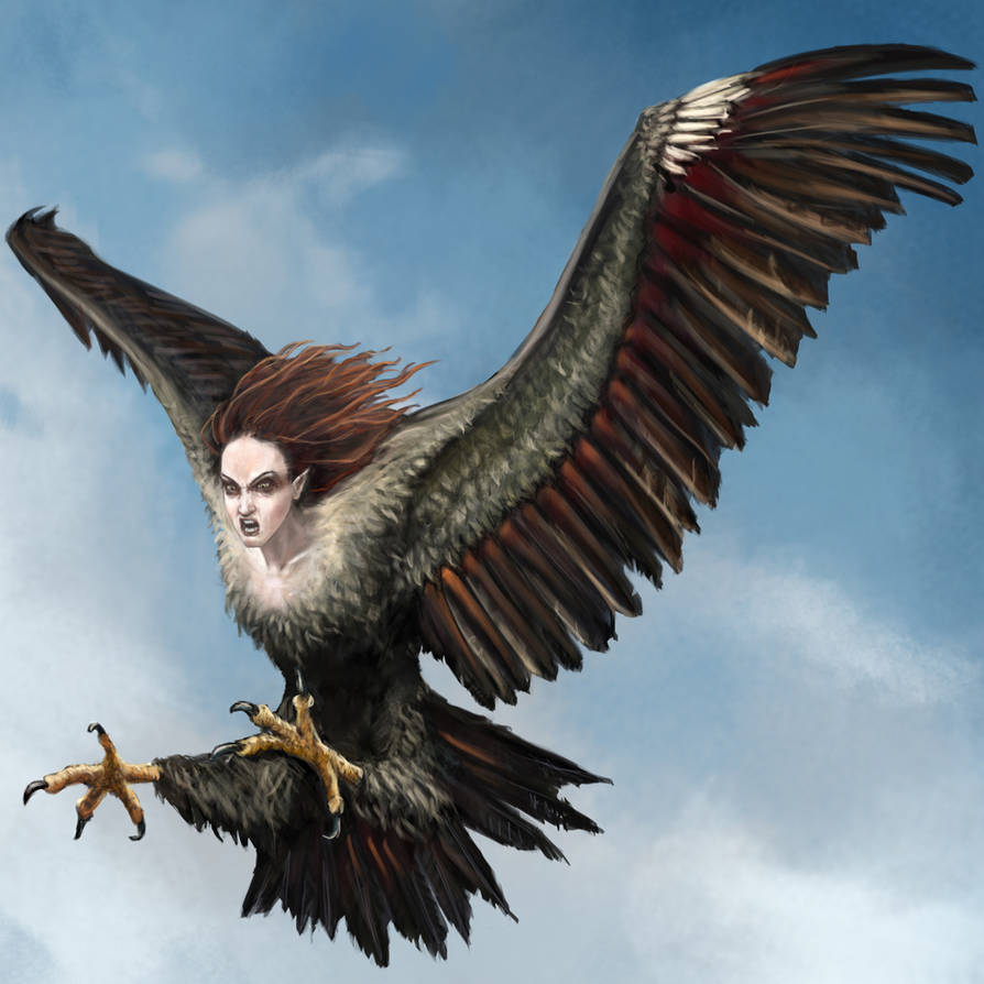 <p>Harpy</p>