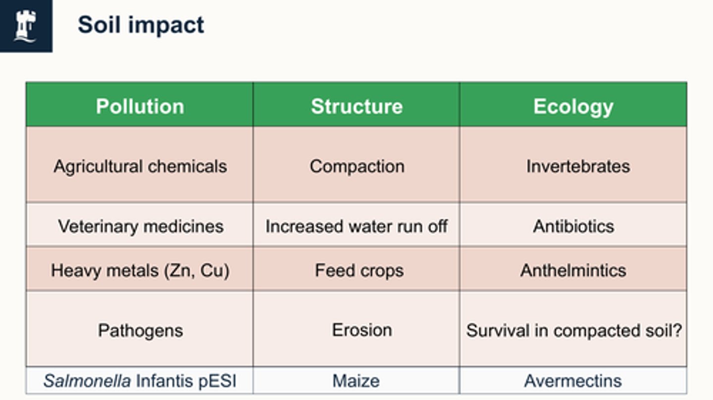 <p></p><ul><li><p>Pollution</p><ul><li><p>Use of agricultural pesticides</p></li><li><p>Use of veterinary medicines</p></li><li><p>Heavy metals</p></li><li><p>Pathogens</p></li><li><p>(salmonella infantis pESI)</p></li></ul></li><li><p>Change in soil structure</p><ul><li><p>Compaction (from walking/living on it)</p></li><li><p>Increased water run off (from shallower root crops and compaction)</p></li><li><p>Erosion</p></li><li><p>feed crops</p></li><li><p>maize (causes erosions)</p></li></ul></li><li><p>Change in ecology</p><ul><li><p>&nbsp;Use of anthelmintics - (affecting invertebrate populations)</p></li><li><p>Use of antibiotics - (affecting microbial populations)</p></li><li><p>Compaction reducing ability for invertebrates/microbes to survive</p></li><li><p>avermectins (can affect invertebrates for mo after theyre applied)</p></li></ul></li></ul><p></p>