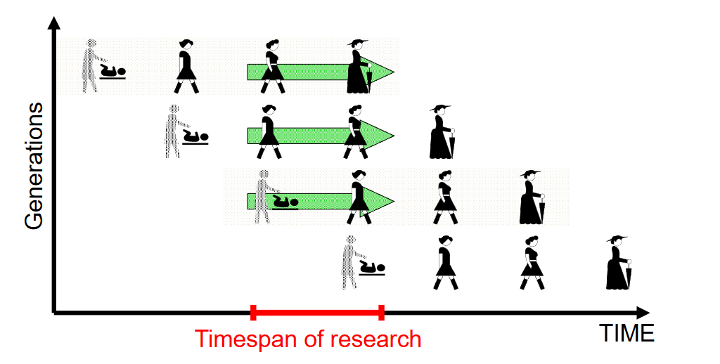 <p>What is a <strong>Sequence model</strong>?</p>