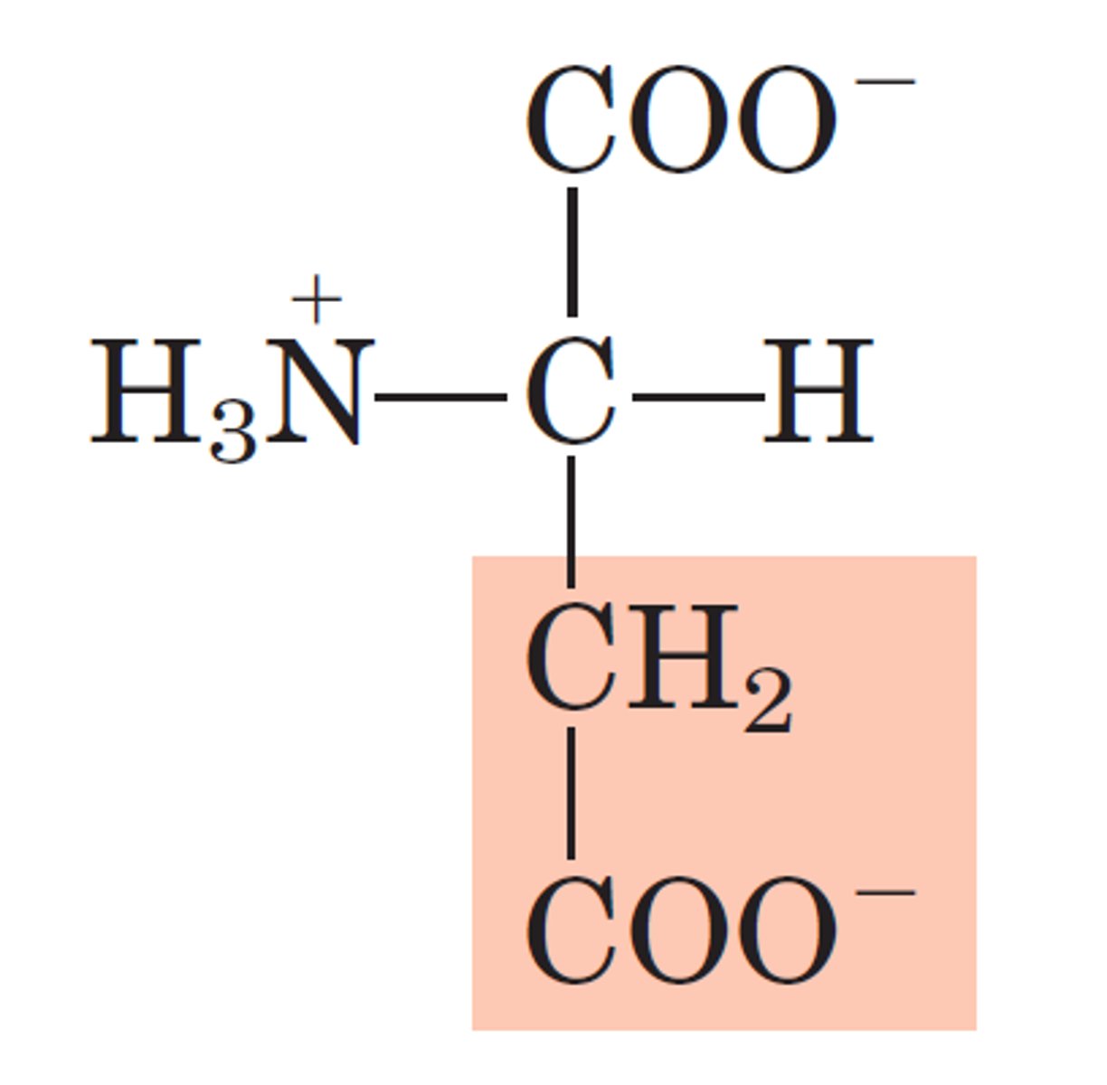 <p>D, Asp, Polar, Negatively charged</p>