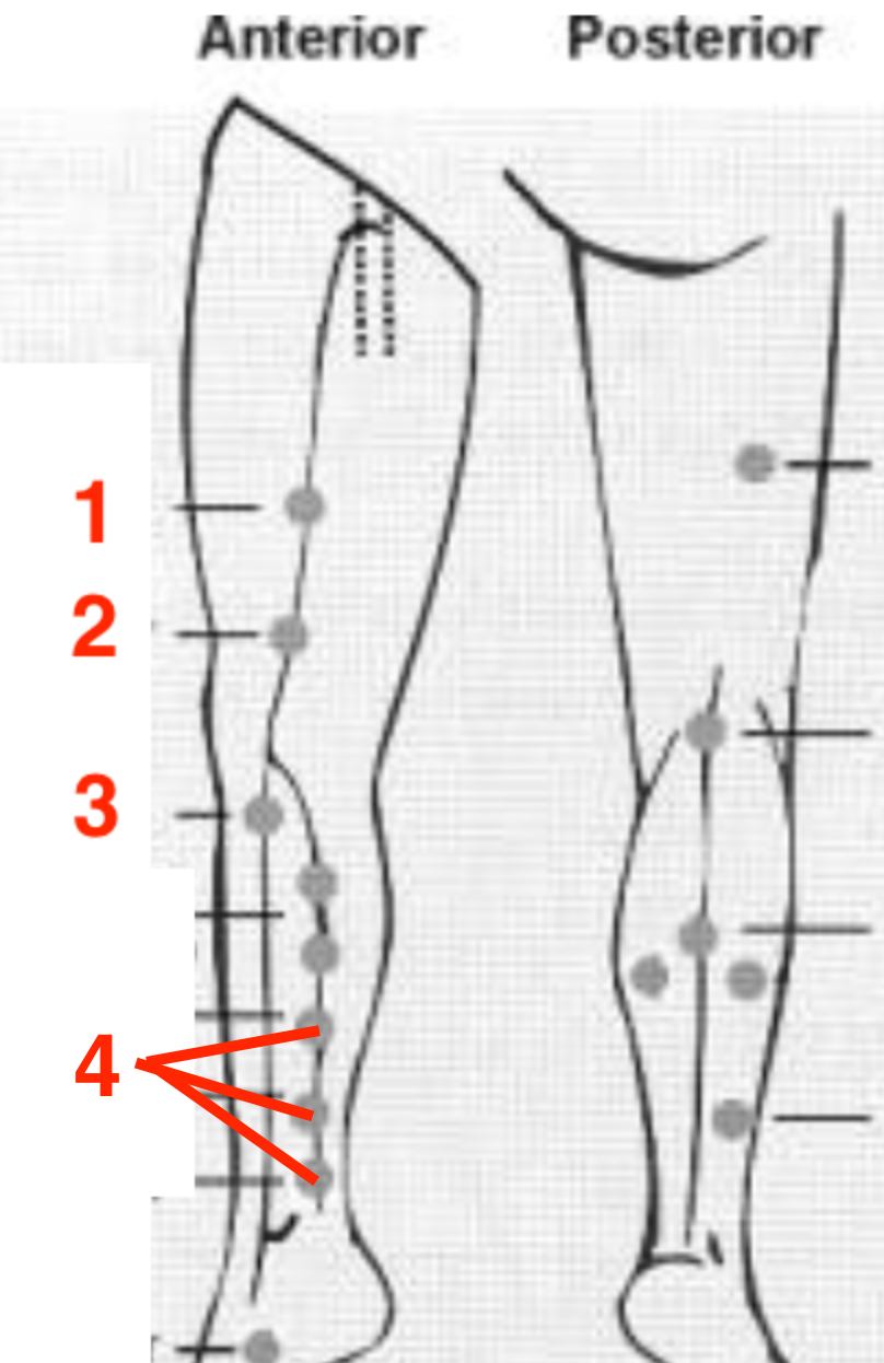 <p>Identify this image. </p>