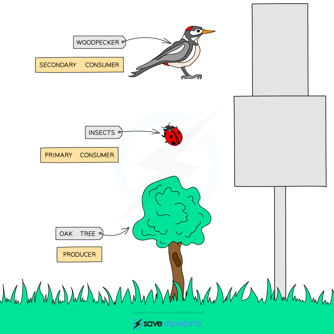 <p>pyramid sized.</p>