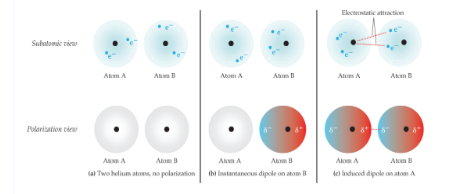 <p>weakest of all intermolecular forces; two adjacent <strong>neutral, nonpolar molecules</strong>; the nucleus of one attracts the electrons of the other; electron clouds are distorted; instantaneous dipole; strength of forces is directly related to molecular weight; exist <strong>between all molecules; </strong>depend on the shape of the molecules; the greater the surface area available for contact, the greater the force is</p>