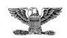 <p>Silver Eagle</p>