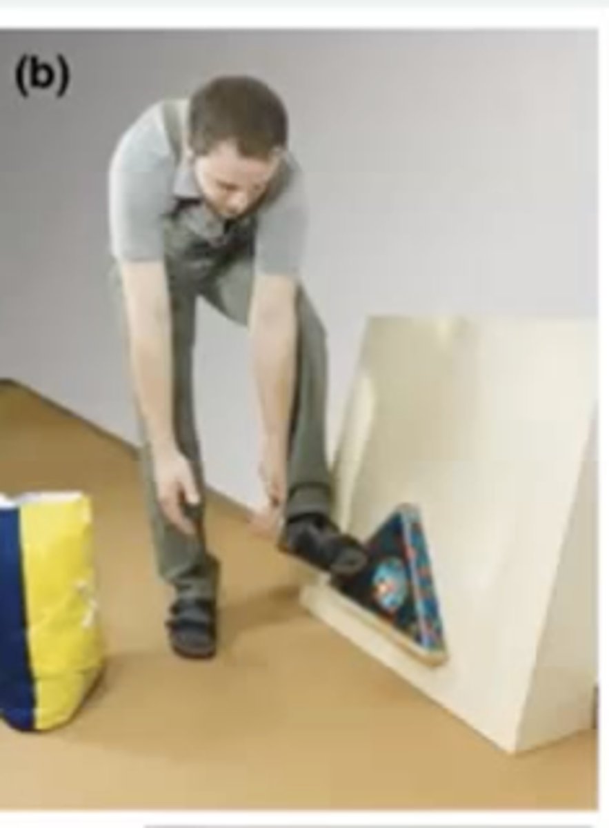 <p>The chimps seemed to imitate the experimenters actions exactly by using their feet (when it was perceived to be done intentionally)</p>
