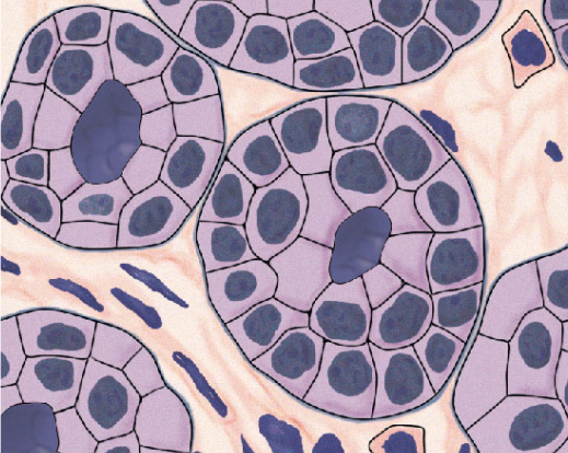 <p>What is this?</p>