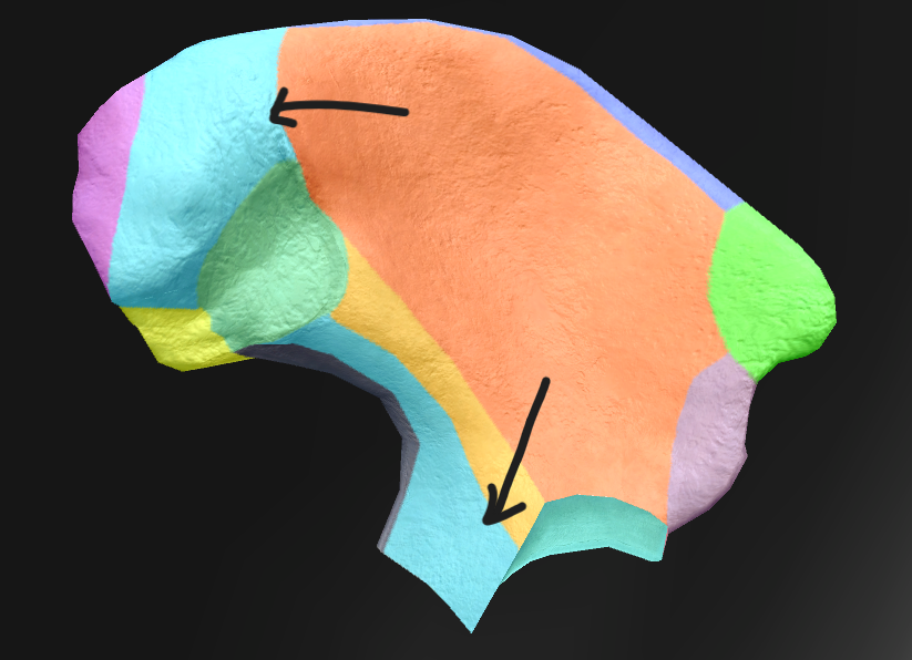 term image