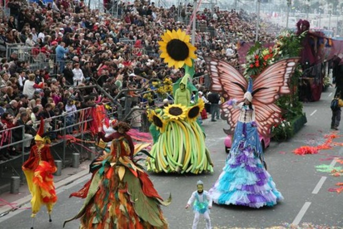 <p>carnival</p>