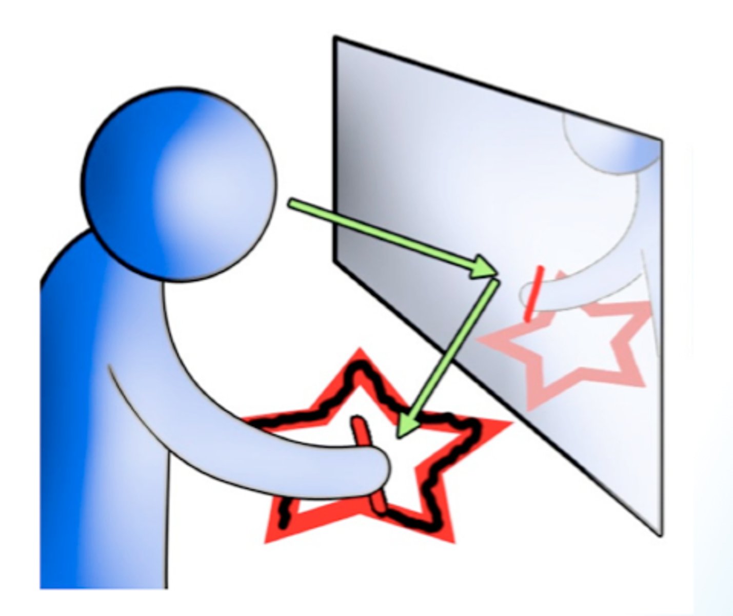<p>the gradual acquisition of skills as a result of practice, or "knowing how" to do things - made by cerebellum</p><p>You "know how" to ride a bike, hit a baseball, or swim, because this type of memory is stored in the cerebellum. Researchers taught HM how to draw a star by looking into a mirror, which is a SKILL.</p>