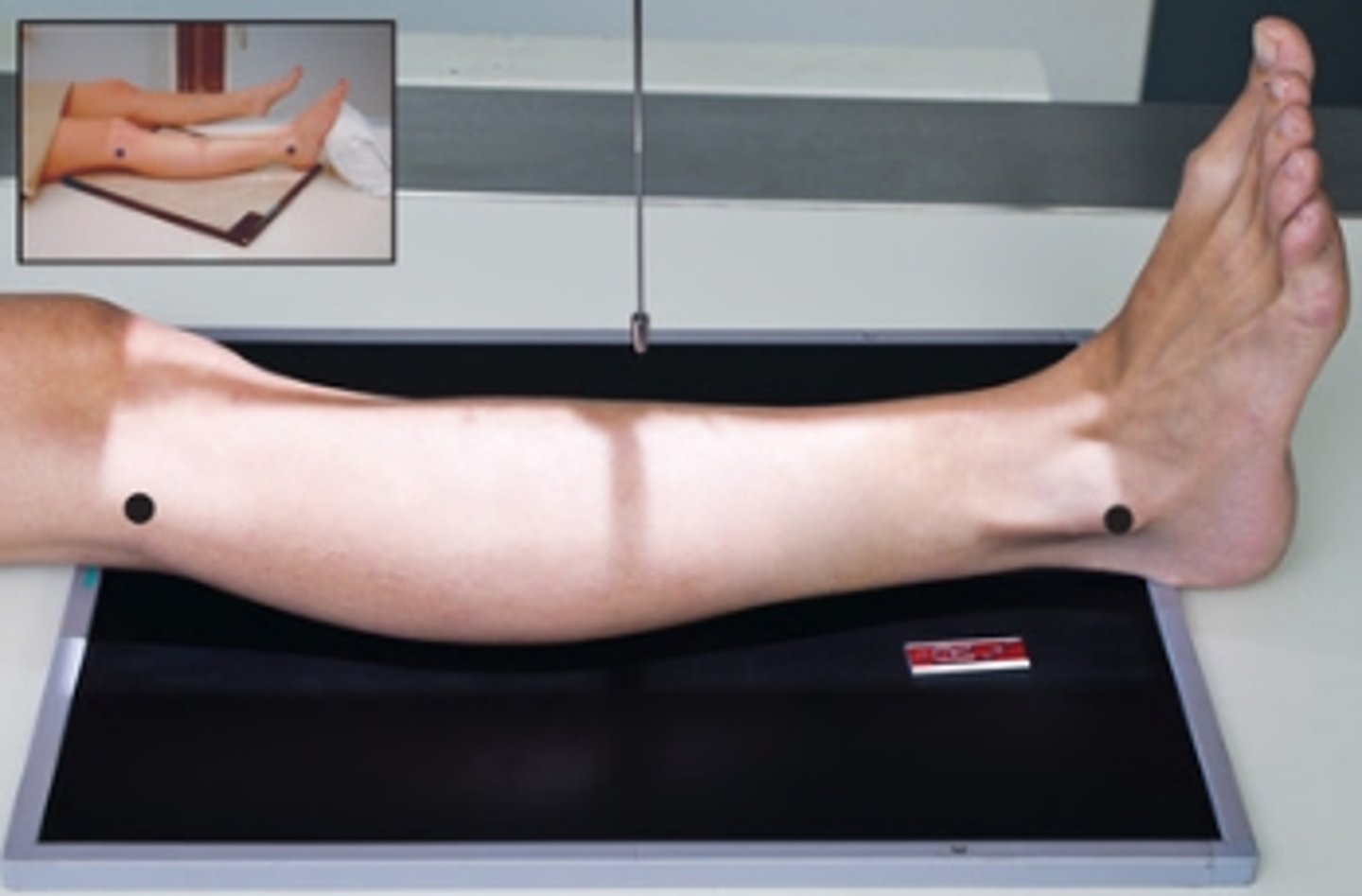 <p>perpendicular and directed to midpoint of lower leg</p>