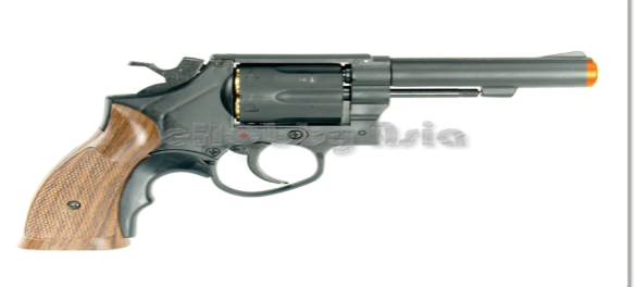 <p>what type of gun is this</p>