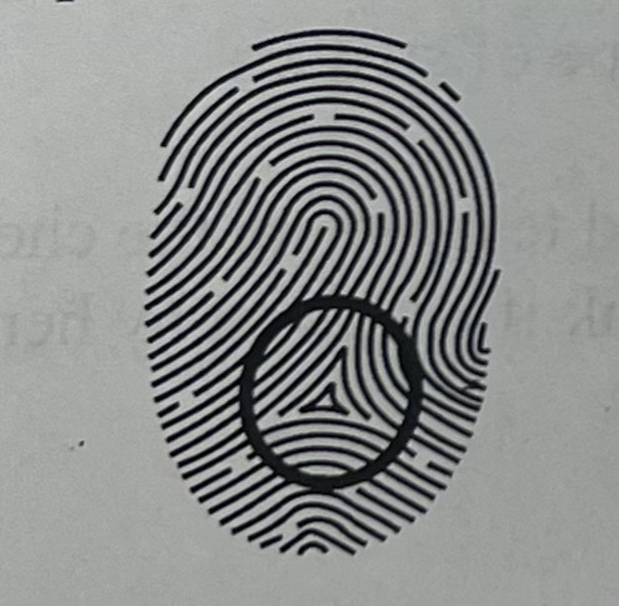 <p>A triangle-shaped minutia found on prints except for plain arches.</p>