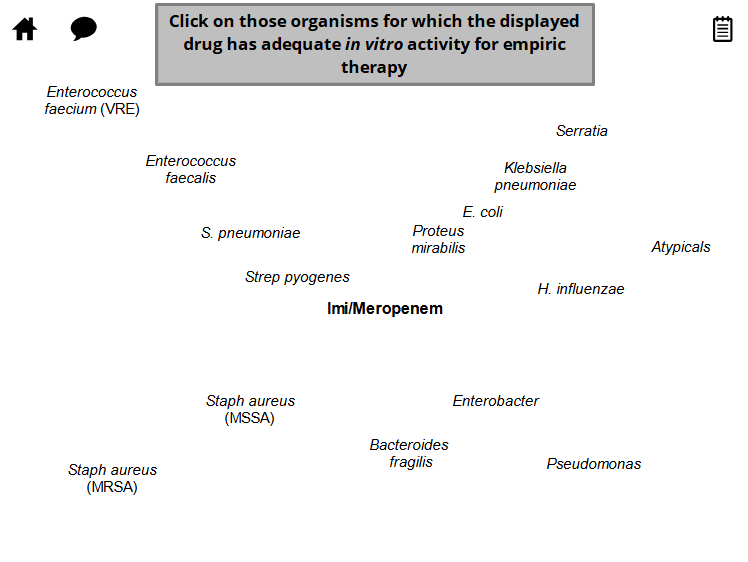 <p>Imipenem (Meropenem)</p>