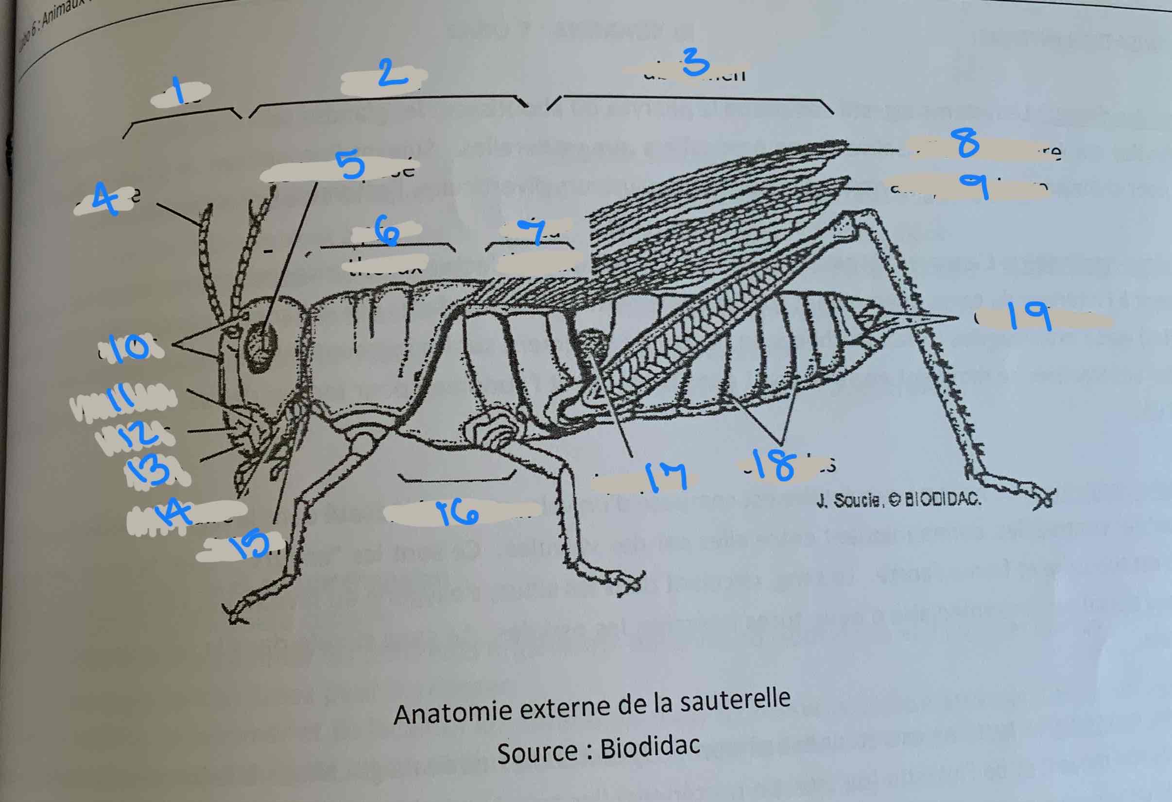 <p>15</p>