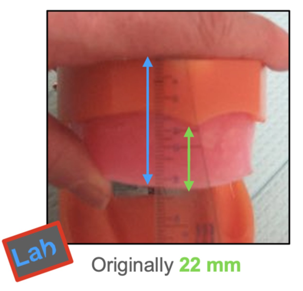 <p>On the wax rims, adjust the anterior portion of the maxillary wax rim so that the incisal edge is __________ to the top part of the typodont.</p><p>Adjust the anterior portion of the wax rim so that it is __________ to the bench top and still about 30-33 mm in height.</p>
