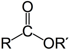 <ul><li><p>Carboxylic acid derivative</p></li><li><p>OH is replaced with OR, an alkoxy group</p></li></ul>