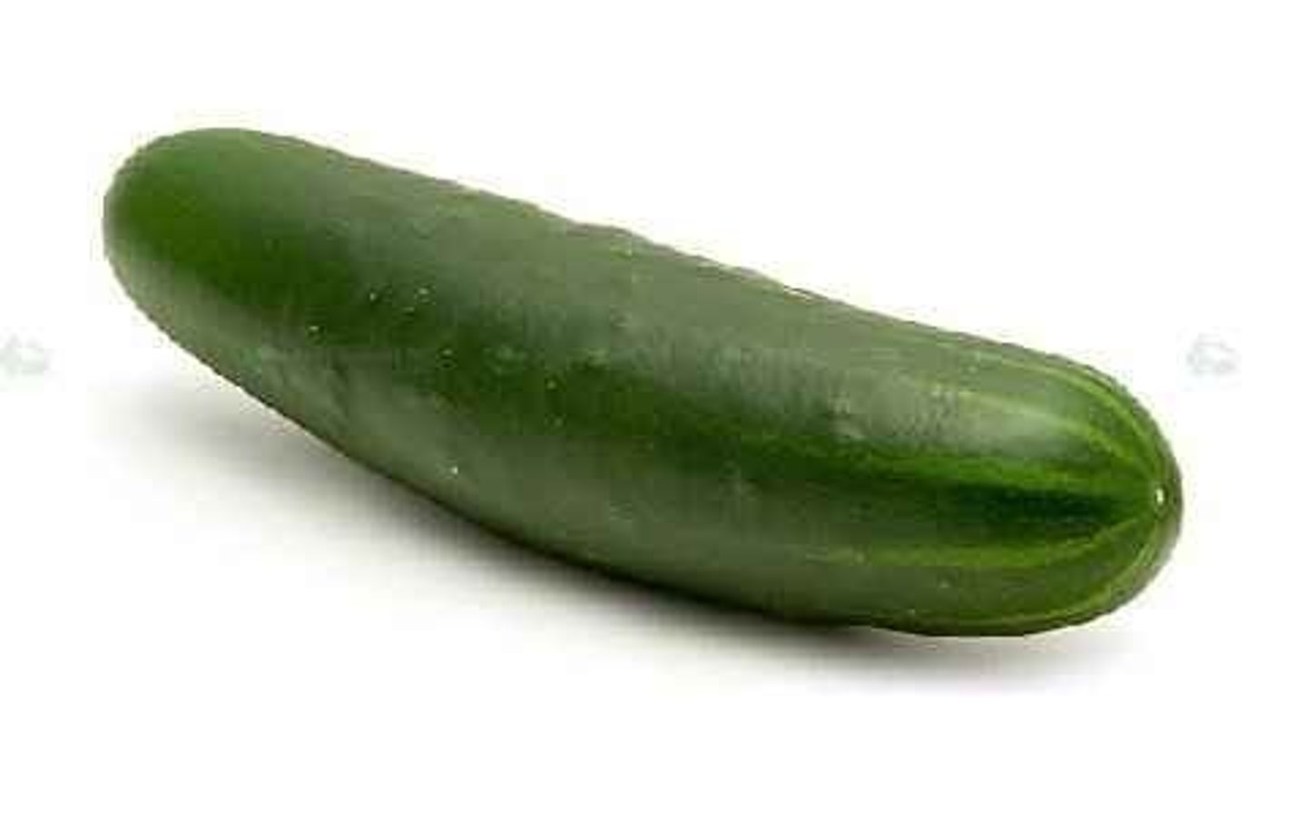 <p>cucumber</p>