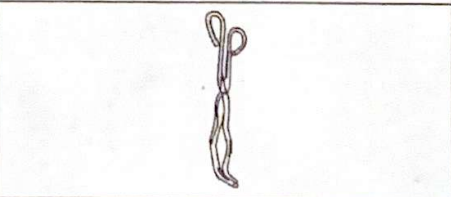 <p>To grab onto objects and move them </p>